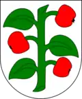 Blason