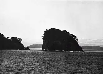 Damar dans les années 1900