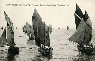 Bateaux sardiniers à l'entrée du port.