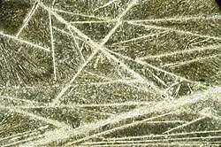 Texture spinifex d'une komatiite au microscope.