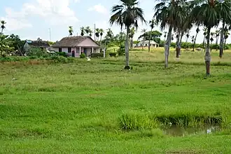 Consolación del Sur