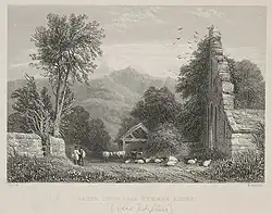 Gravure du début du dix-neuvième siècle montrant les ruines d'une abbaye envahies par la végétation et au milieu desquelles paissent les moutons.