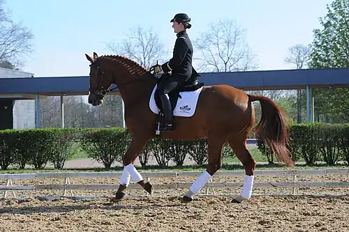 Pauline Basquin sur Liaison