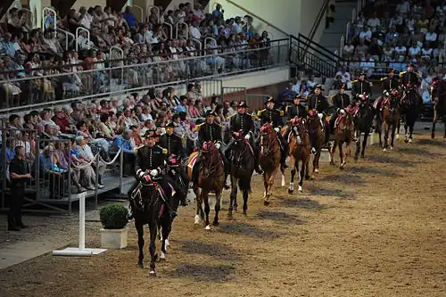 Reprise en manège des écuyers du Cadre noir