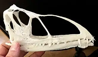 Description de cette image, également commentée ci-après