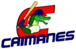 Logo du Caimanes de Barranquilla