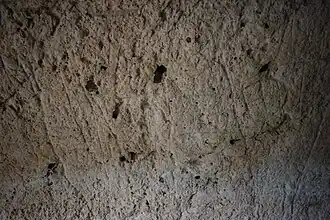 Gravures (grotte n°11).