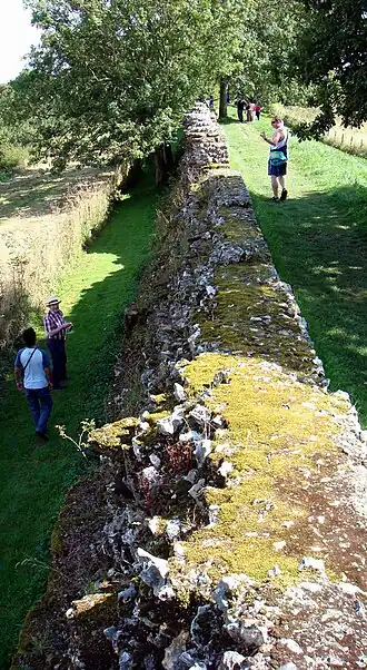 Image illustrative de l’article Calleva Atrebatum