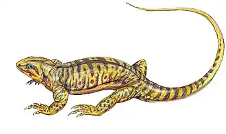 Description de cette image, également commentée ci-après