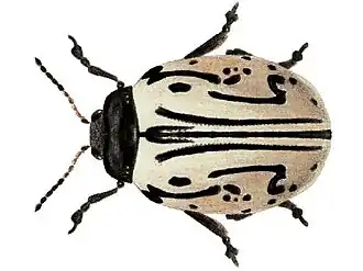 Description de cette image, également commentée ci-après