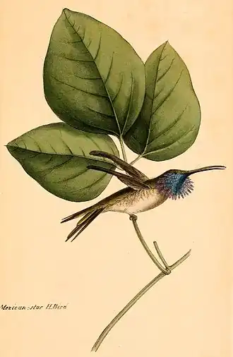 Description de cette image, également commentée ci-après