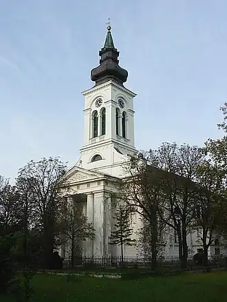 Debeljača