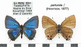 Description de cette image, également commentée ci-après