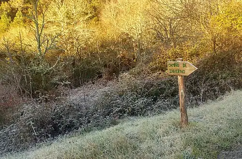 Une des marqueurs du Chemin d'Hiver près de Quiroga