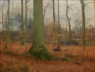 Sous-bois animé en automne.