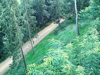 Un chemin dans le nord de la commune