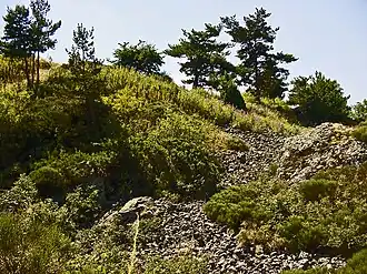 Image illustrative de l’article Camp d'Antoune