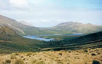 Paysage de l'île Campbell.