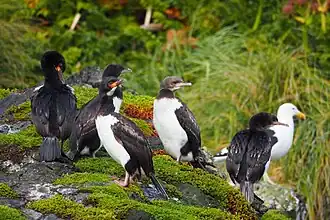 Description de cette image, également commentée ci-après