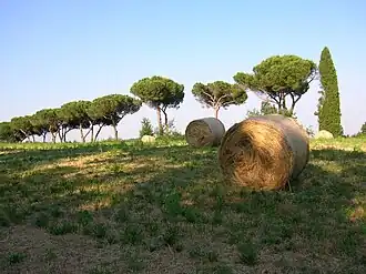 Champ dans le parc naturel régional de Véies.