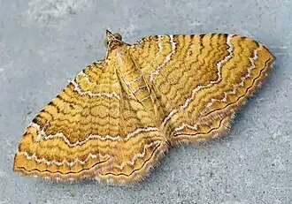 Description de cette image, également commentée ci-après