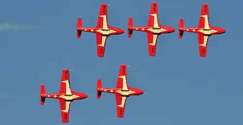 Les Snowbirds lors d'un spectacle aérien à Québec.