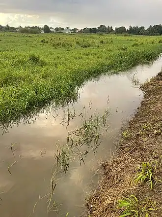 Canal de Perrin aux Abymes, Guadeloupe