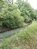 Canal à l'ouest de Dallonville, commune de Bailleau-l'Évêque (2015).