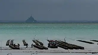 Récolte des huîtres.