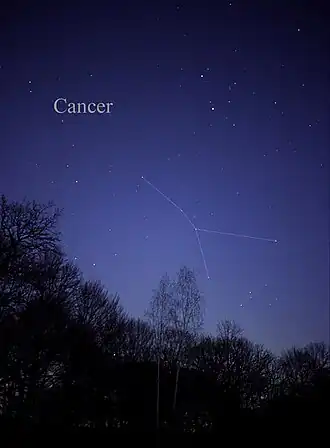 Constellation du Cancer.