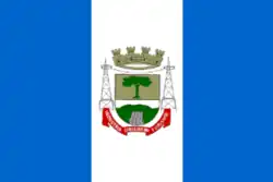 Image illustrative de l’article Canela