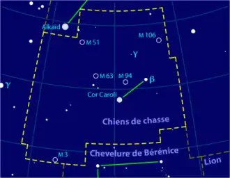 Image illustrative de l'article Chiens de chasse