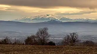 Vue du pech de Bugarach depuis Cuxac-Cabardès sur fond de Canigou.