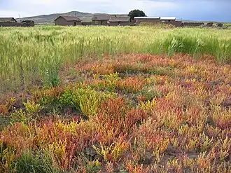 Description de cette image, également commentée ci-après