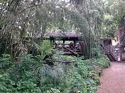 Le canyon des léopards.