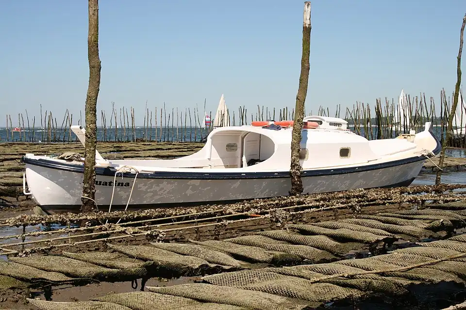 Pinasse du Cap-Ferret