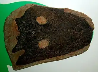 Description de cette image, également commentée ci-après