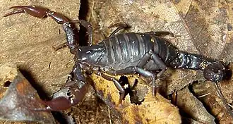 Description de cette image, également commentée ci-après