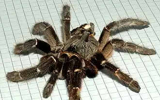 Description de cette image, également commentée ci-après