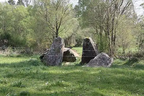 Vue 1