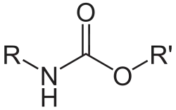 Hydrazide