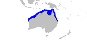 Description de l'image Carcharhinus fitzroyensis distmap.png.