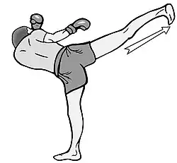 Image illustrative de l’article Coup de pied en arrière