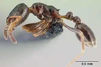 Description de cette image, également commentée ci-après