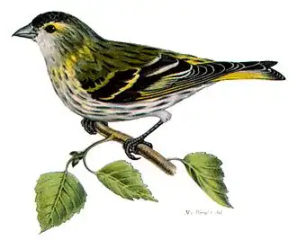 Description de cette image, également commentée ci-après