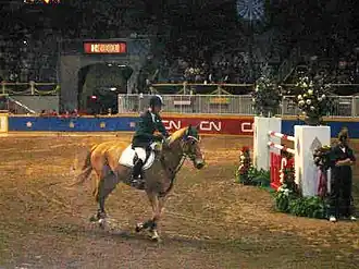 Image illustrative de l’article Carling King