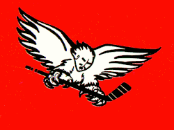 Description de l'image Carolina thunderbirds.gif.