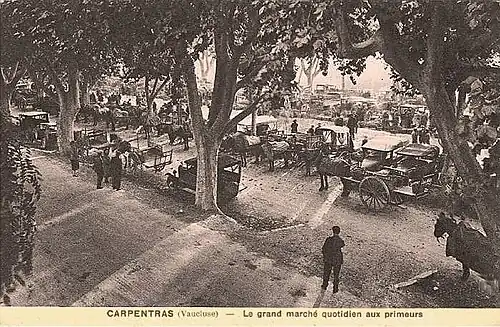 Marché quotidien aux primeurs sur les allées des Platanes