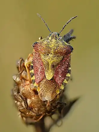 Description de cette image, également commentée ci-après