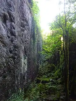 Falaise avec rides de courant et "pains de grès" de la carrière de Chambralles
